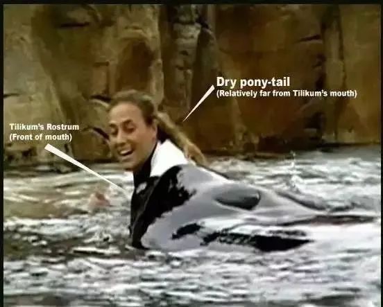 虎鲸|她在俄罗斯被囚禁虐待的那些年……