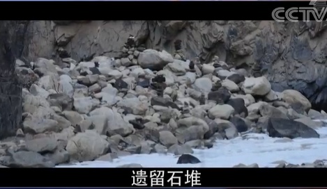 时政外交|有图有真相!央视曝光印度越线挑衅证据