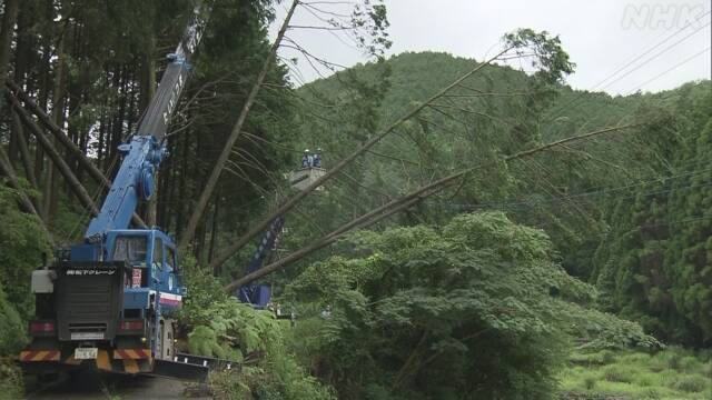 国际社会|日本暴雨已致52人死亡 全国565所学校因灾情停课(图)
