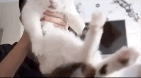 刘红梅|抖音的这对情侣，看完哭得稀里哗啦