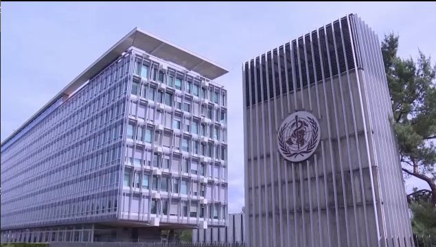 国际|德国外交官发声力挺世卫组织：妨碍工作不是个好主意