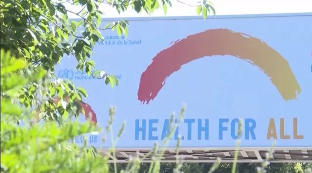 国际|德国外交官发声力挺世卫组织：妨碍工作不是个好主意