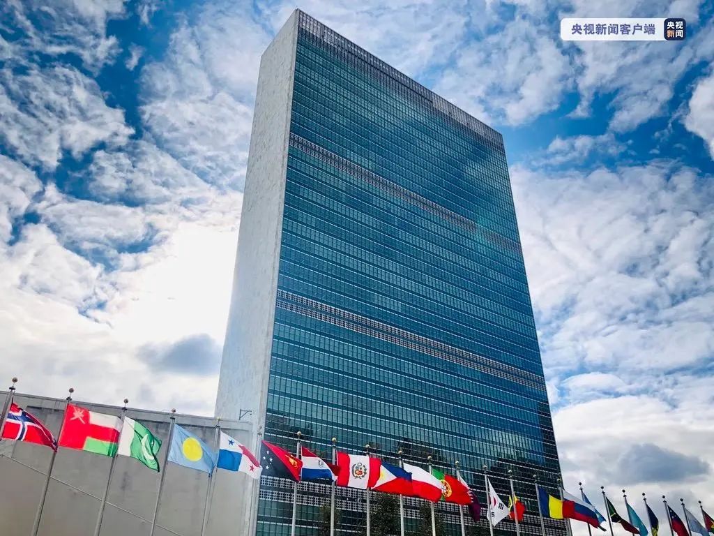 国际|美国正式退出世卫组织!