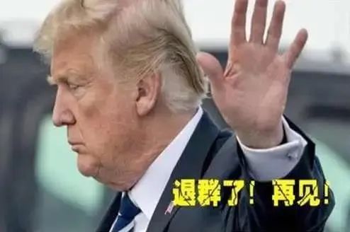 每日经济新闻|英国、德国、意大利等国多方谴责特朗普“退群”世卫：高度不负责，严重且错误，“为了竞选罔顾人命”！