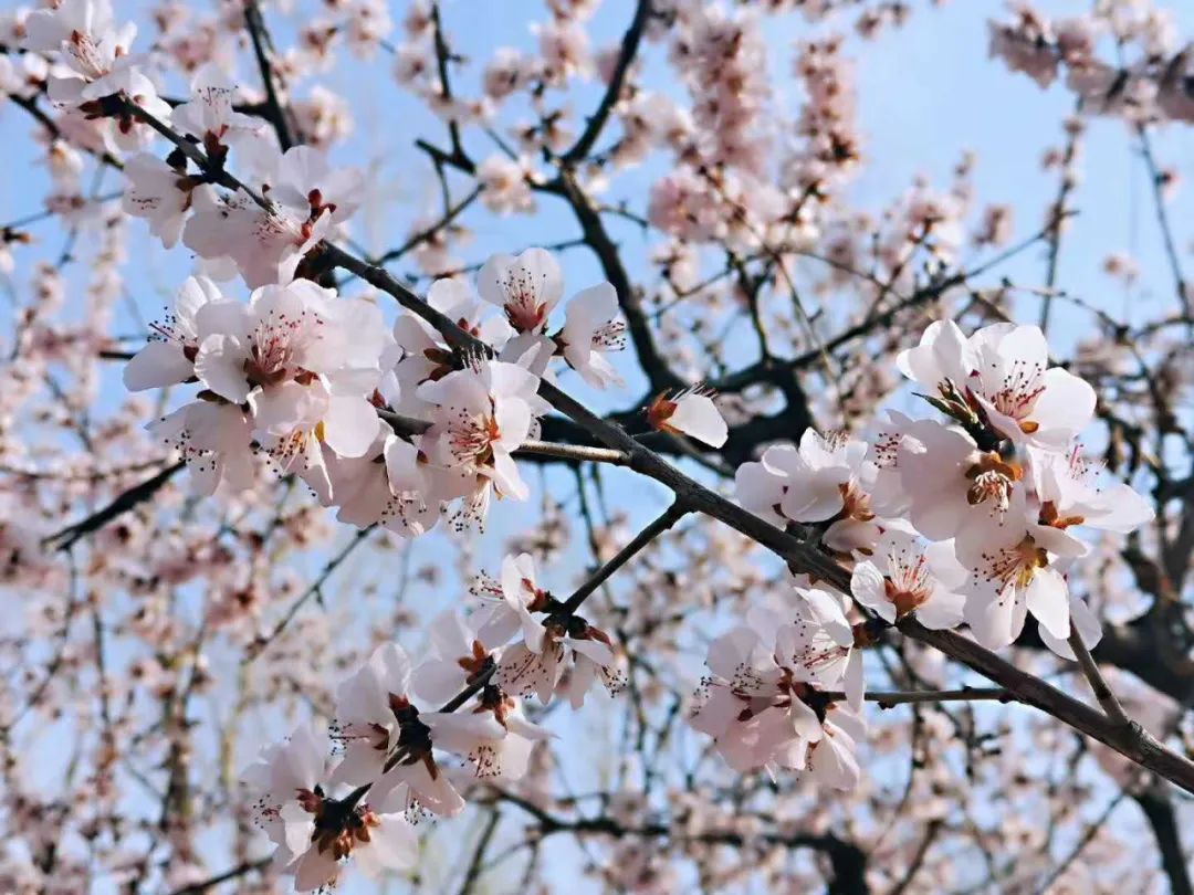 人性|惊人的9个定律，原来这就是人性