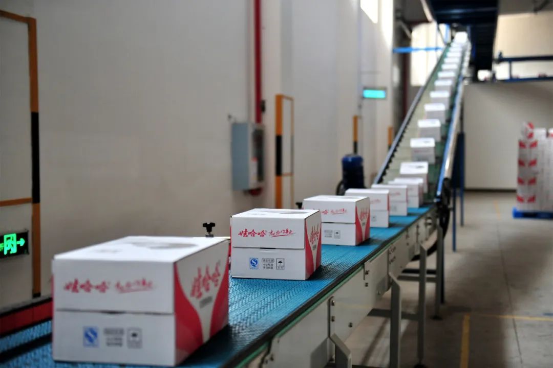 宗庆后|上市，娃哈哈是不想，还是不能？