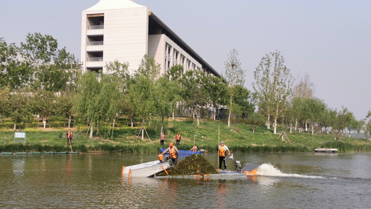 水生态|对付水草，割草船上新了