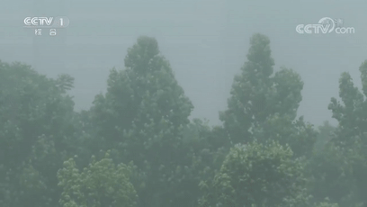 泥石流|提醒！多地连续降雨，这些安全知识您应该了解→