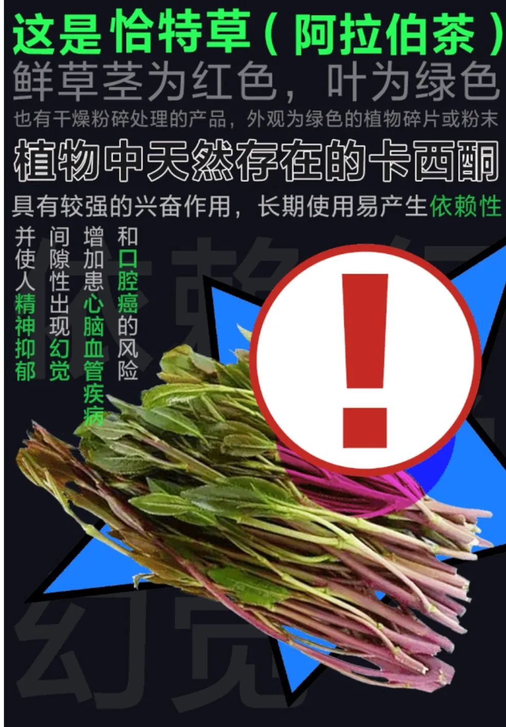 毒品|有人告诉你,它们能让你快乐、给你提神、使你变聪明……?