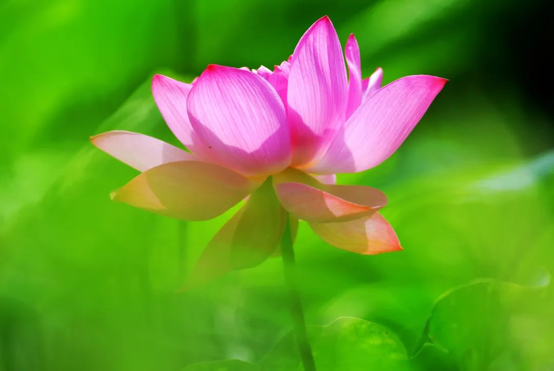 社会|六句话,帮你理顺单位里的关系