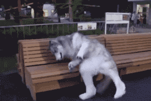 朴槿惠|『2020.07.11』轻松早茶??