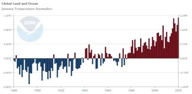 高温中暑|说一个提高夏天「抗热能力」的方法：少吃肉