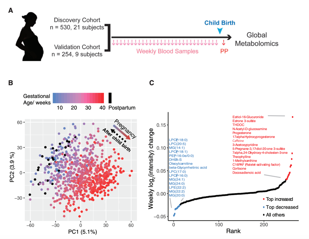 孕妇|科学家发现孕妇血液中的“分子时钟”，可准确预测孕期和预产期