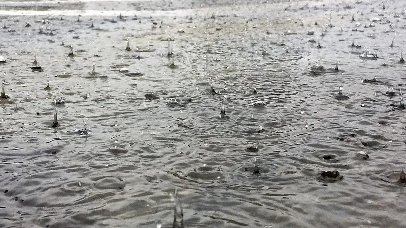 天气|极端天气如何做好自我防护？这份手册请收好！