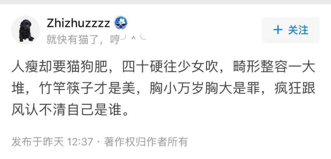 视觉志|当代社会里「审美畸形」现状。