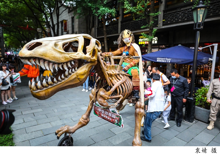 恐龙|恐龙和翼龙来自于共同祖先？科学家：这种生物可能只有10厘米高