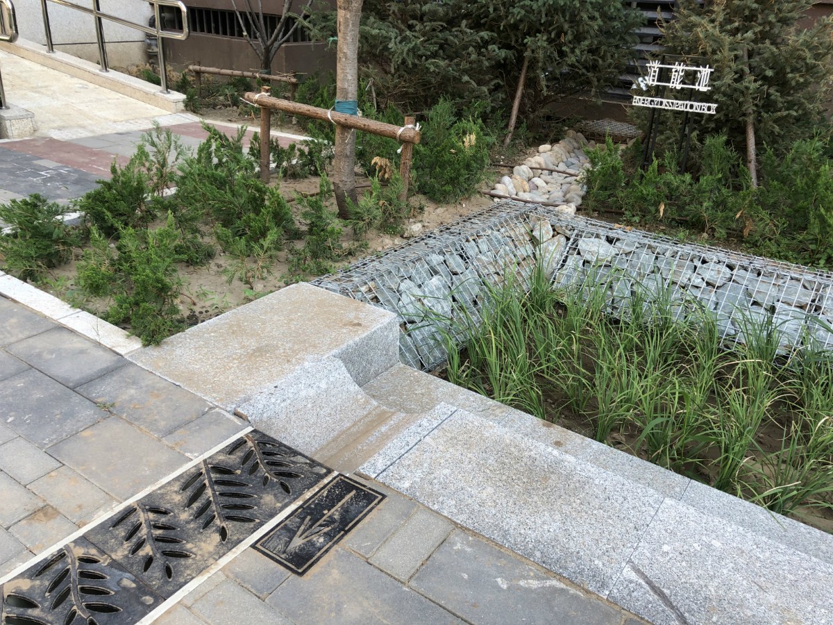 雨水花园|北京海绵城市试点区：雨后无积水，7成雨水被控制