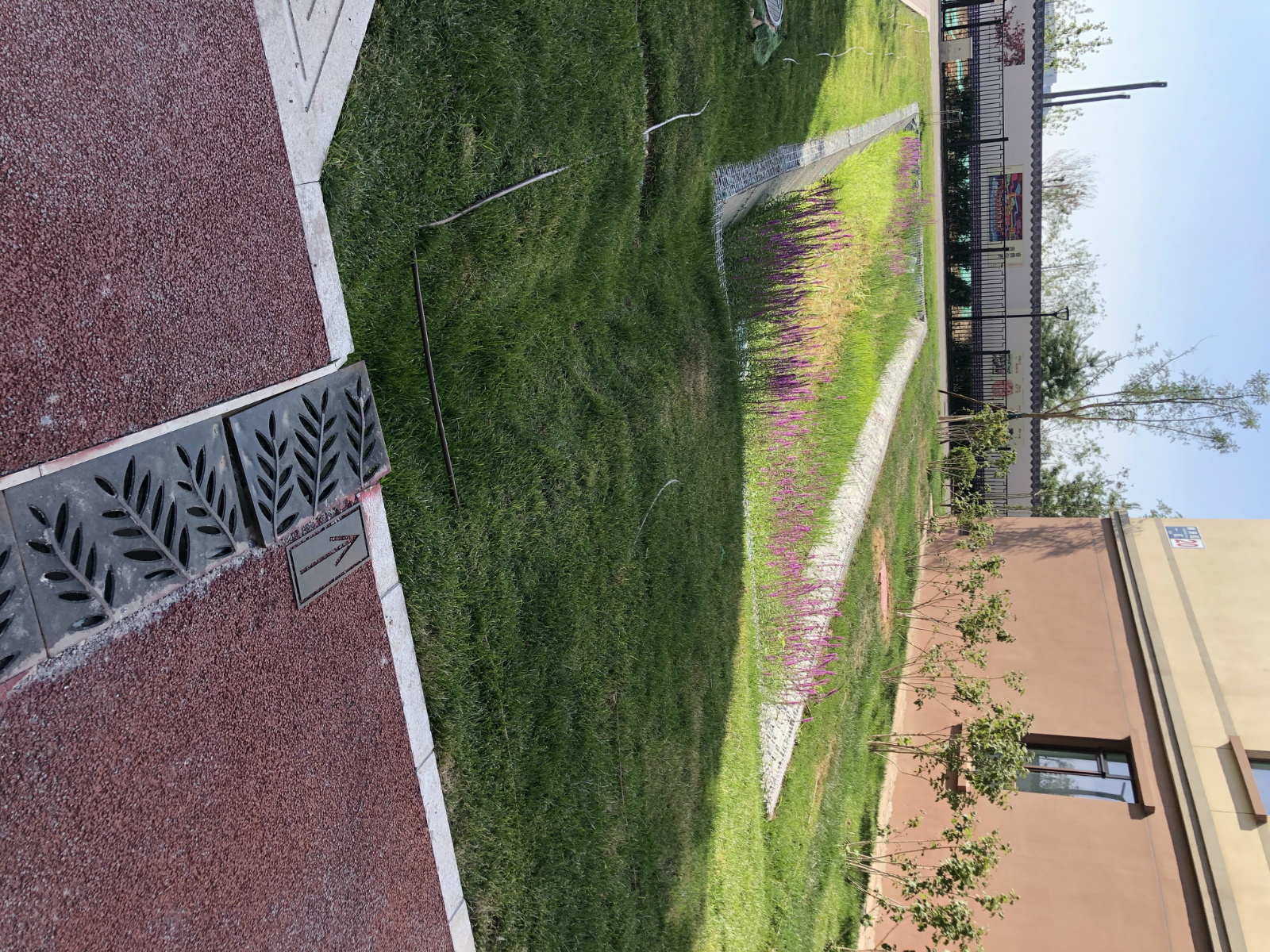 雨水花园|北京海绵城市试点区：雨后无积水，7成雨水被控制