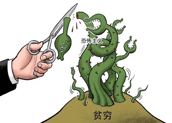 中国日报|西方反恐，怎么越反越恐？ | 小象漫评