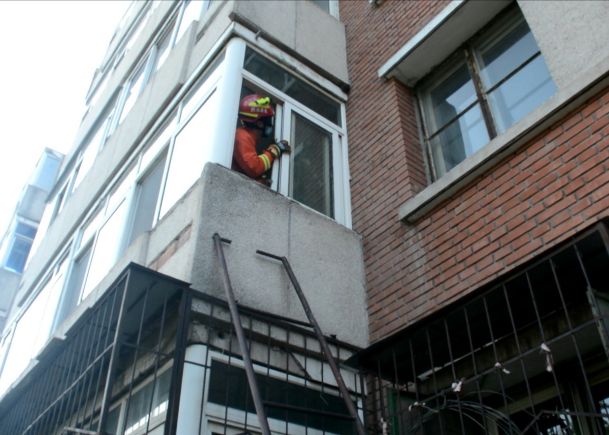 马蜂|四五个马蜂窝“抱团”扰民，消防员清除完后顺便给居民做了科普