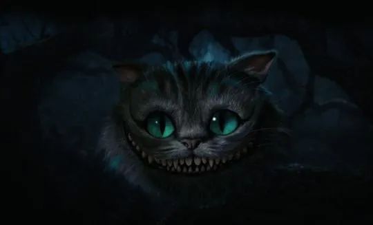 柴郡猫|追美食纪录片正成为一种生活方式