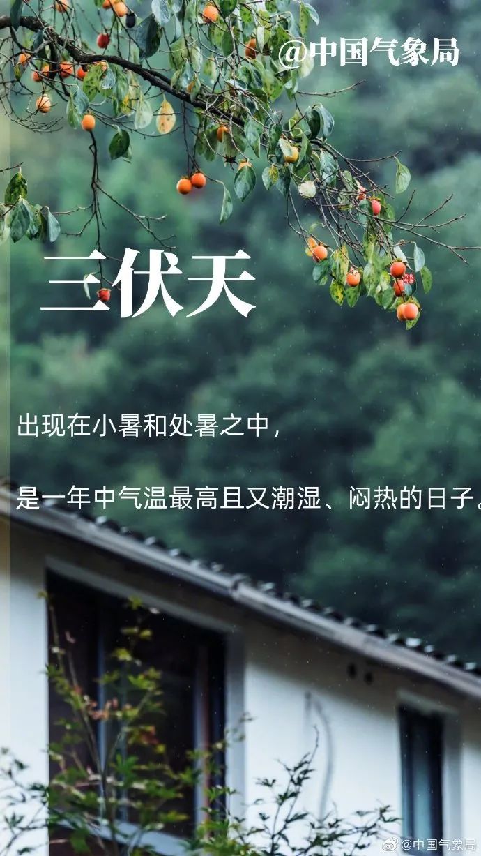 末伏|明日入伏！40天加长版三伏天，你准备好迎接了吗？