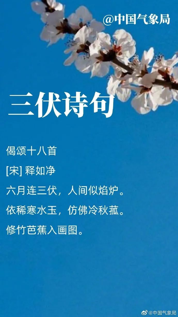 末伏|明日入伏！40天加长版三伏天，你准备好迎接了吗？