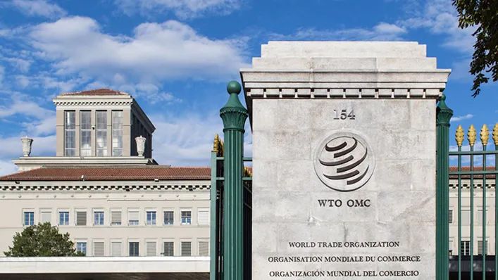 『wto』谁将成为WTO新任总干事？