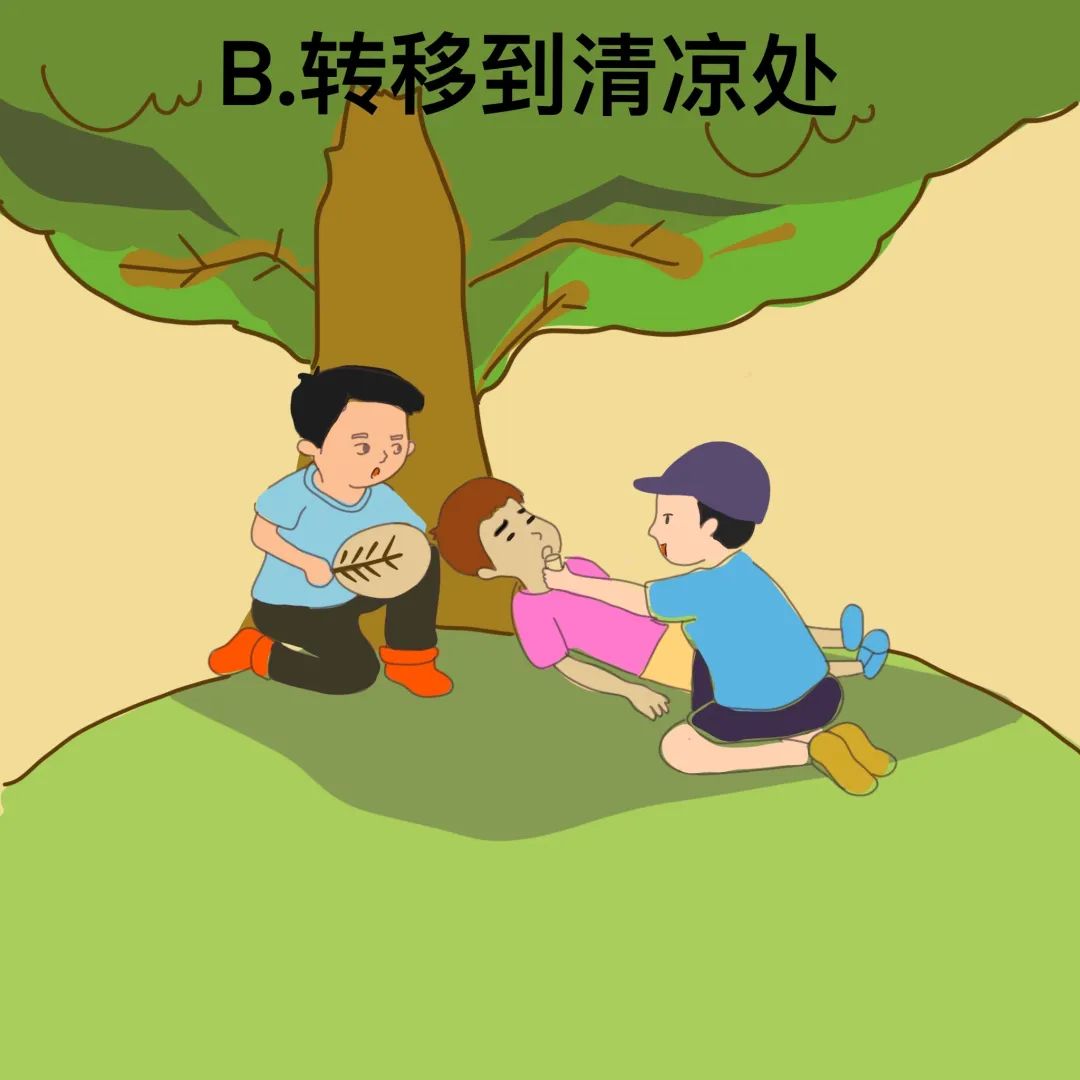 台风|汛期气象安全知识入门考试（全国卷），拍了拍你！