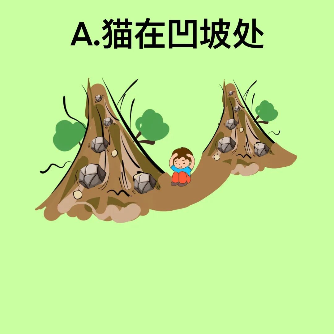 台风|汛期气象安全知识入门考试（全国卷），拍了拍你！