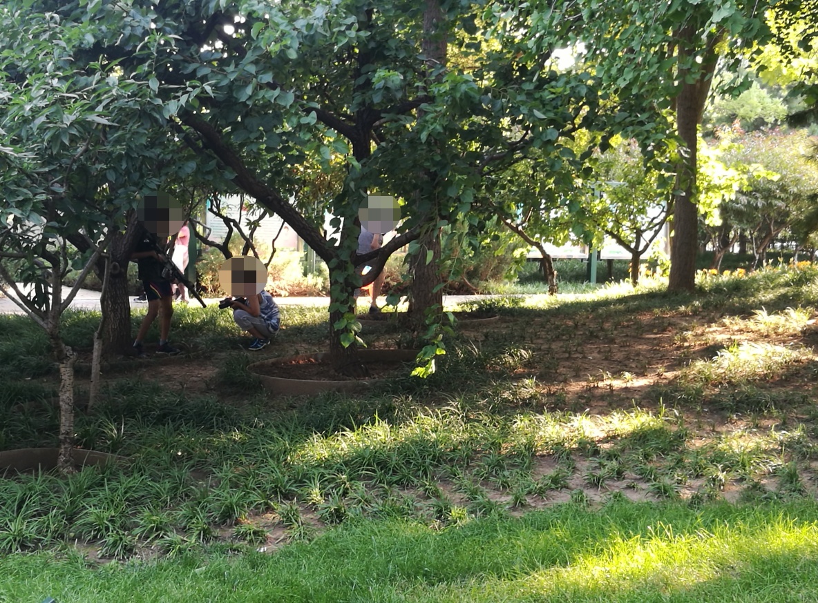 滑板车|骑着滑板冲坡，绿地组团“枪战” ……孩子们公园里撒野埋隐患