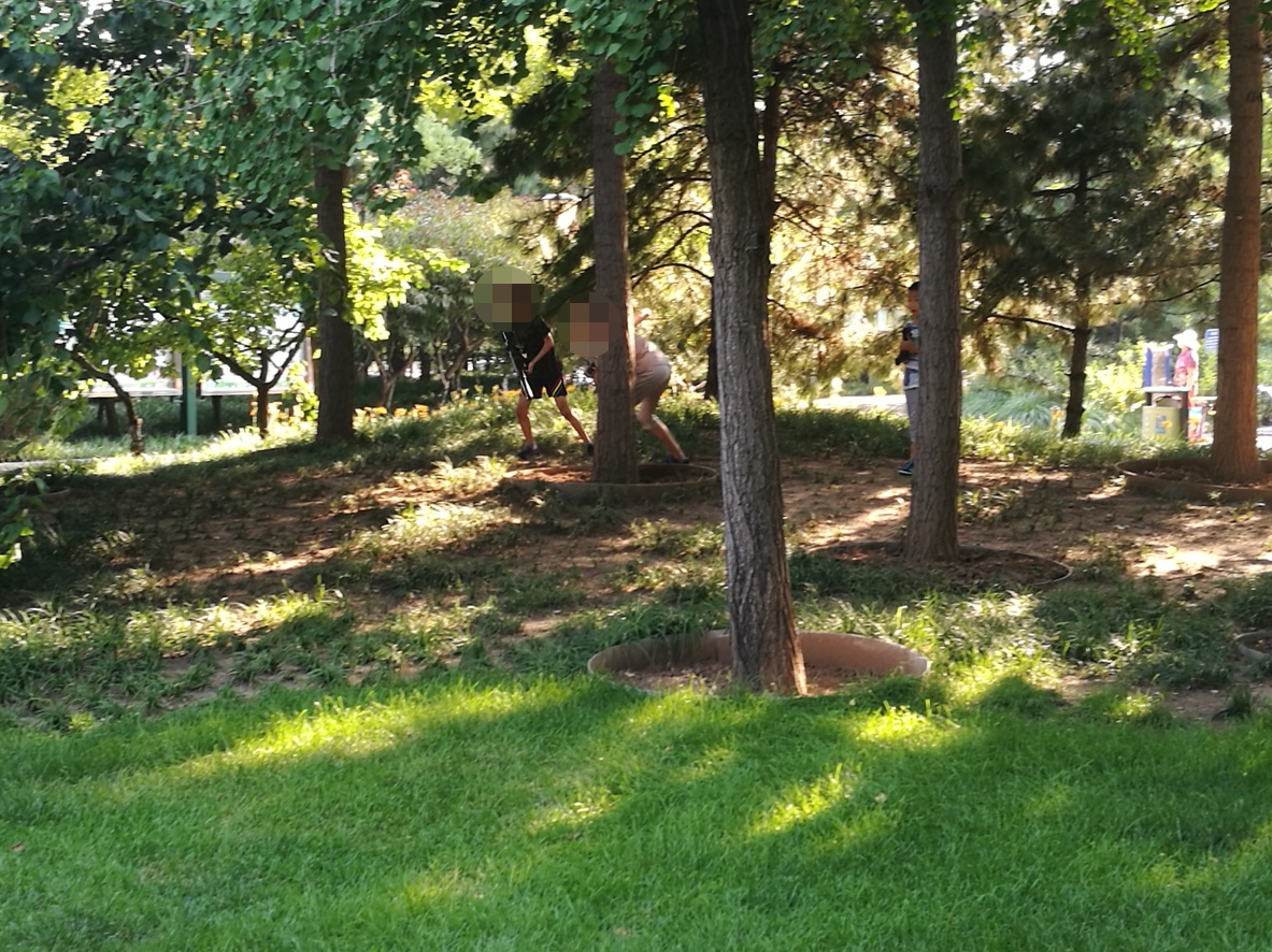 滑板车|骑着滑板冲坡，绿地组团“枪战” ……孩子们公园里撒野埋隐患
