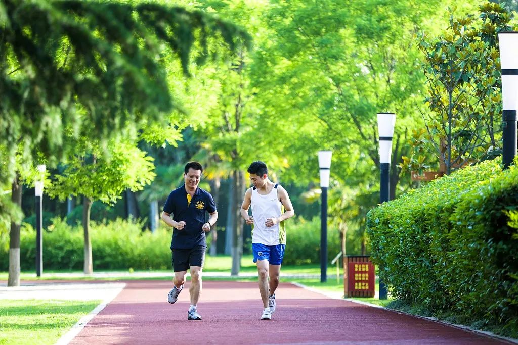 三伏天|注意！一年中最难熬的40天来了……