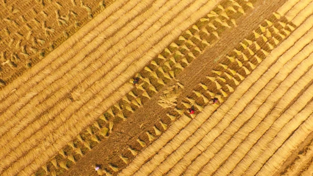 经济|中国经济潜力、韧劲在哪？10个数字为你解密