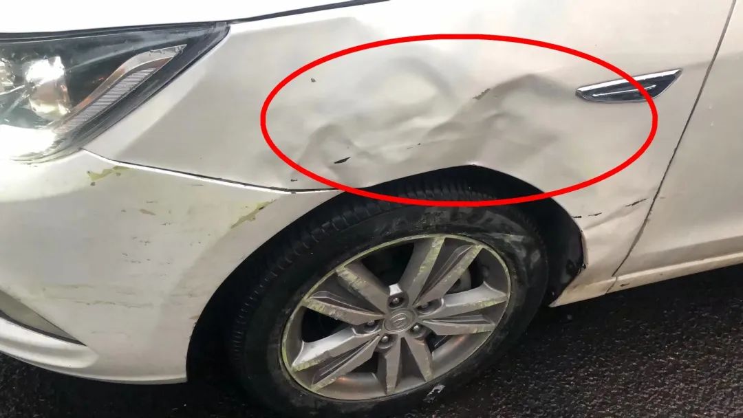 碰瓷|碰瓷公交车？栽了！