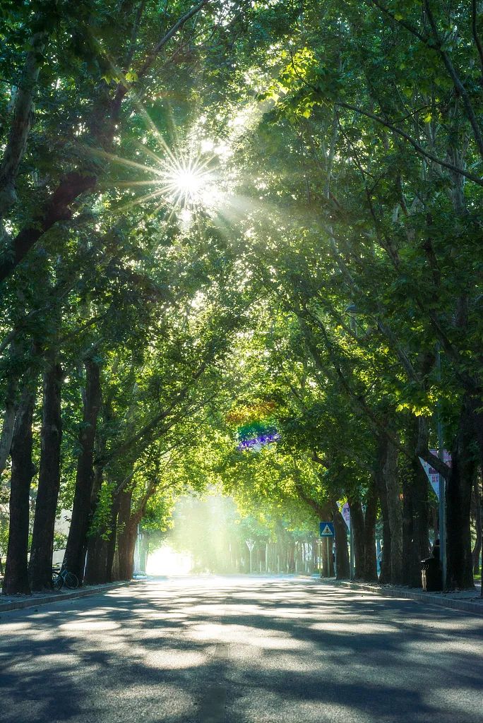 养生|三伏天，高温、高湿“超长待机”，养生您得注意这些→