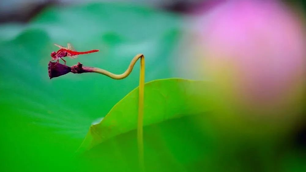 防晒系数|有一说一，这才是防晒的正确打开方式！