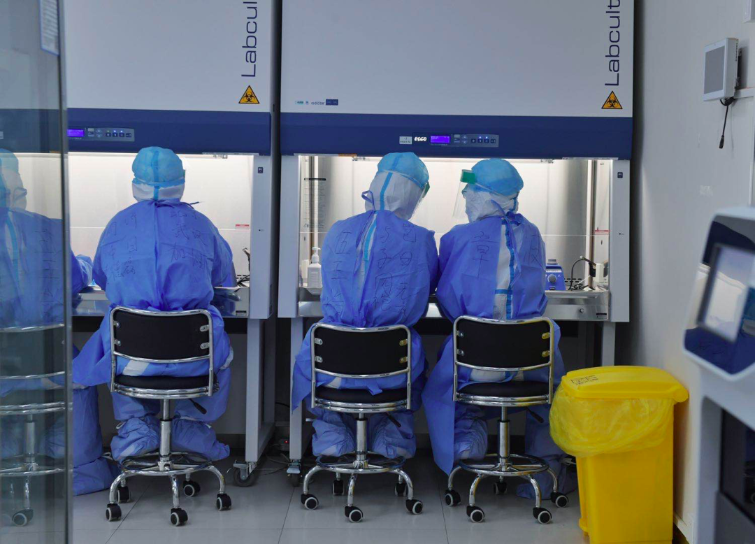 传染病|援京抗疫，他们打赢了