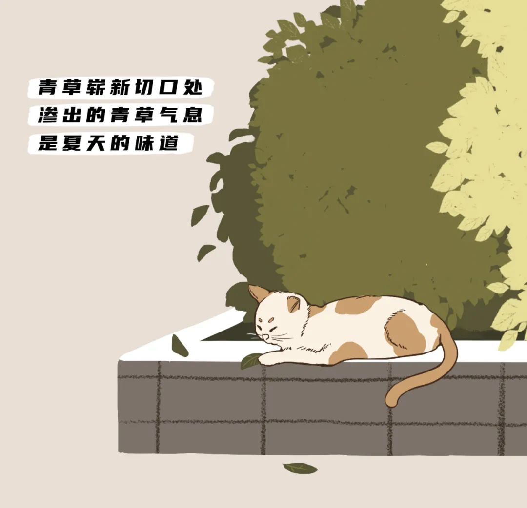 |《夏天里最幸福的30个瞬间》