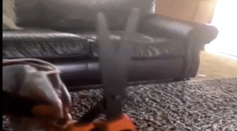 口罩|愚昧且不合逻辑! 美国社交媒体“5G阴谋”谣言再升级,称口罩藏5G天线能控制人