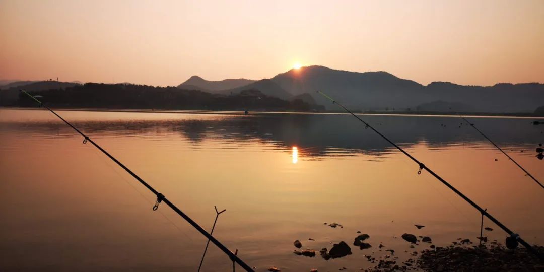 钓鱼|中年男子的行为艺术：钓鱼