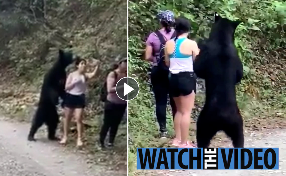 文汇报|路遇大黑熊从腿嗅到头，这个女孩还敢玩自拍，冷静到极点
