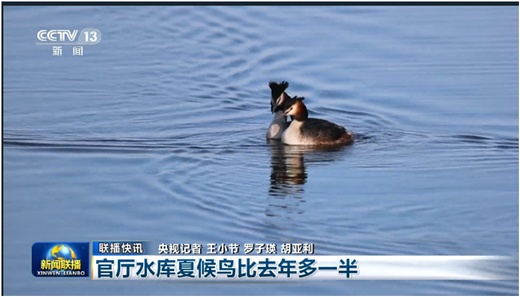 新闻联播|《新闻联播》《焦点访谈》改版升级后有何不同？