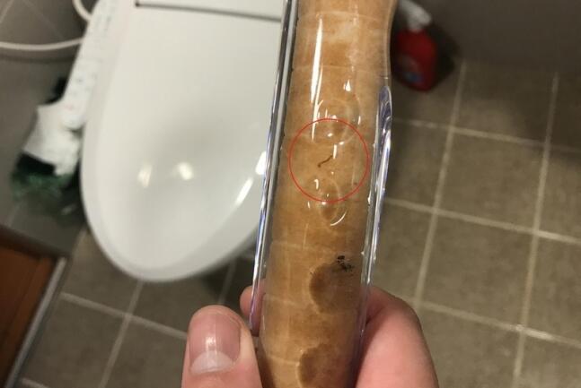 京畿道|韩媒：继韩国仁川和京畿道后，首尔也收到自来水中出现不明幼虫报告