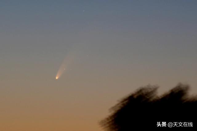 天文|新智彗星还将返场，2020年的第一颗肉眼可见的彗星，终于等到你