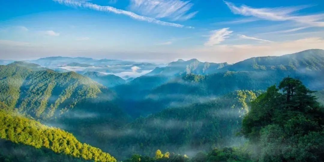 工人日报|电影院开了、旅游恢复了、比赛开始了……熟悉的生活回来了!