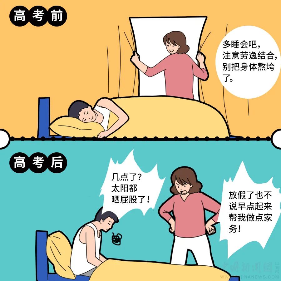 高考|《高考前后“家庭地位”图鉴》