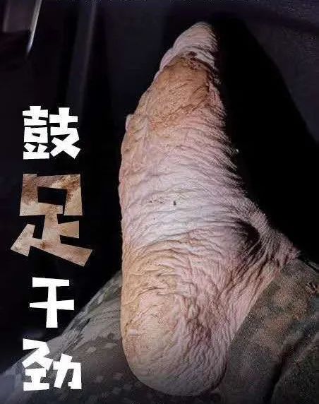 抗洪|57张抗洪图，没有一个标题能承载勇士的付出！