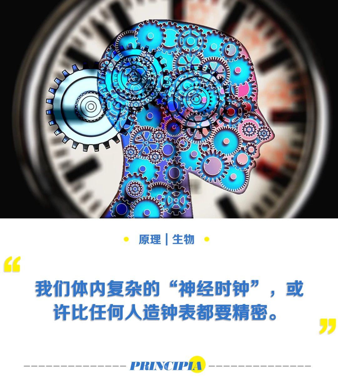 科学|大脑是如何感受到时间流逝的？