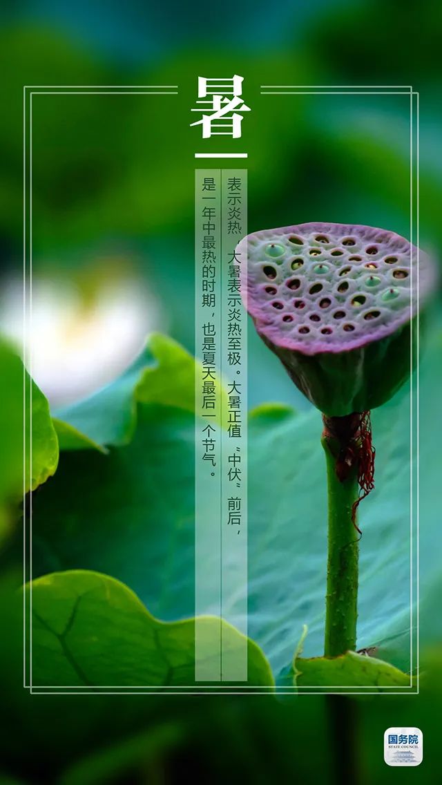 大暑|今日大暑 | 最热热热热的时节来了